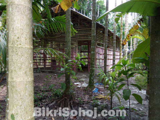 রোডের পাশে ৫ কাঠা জমি